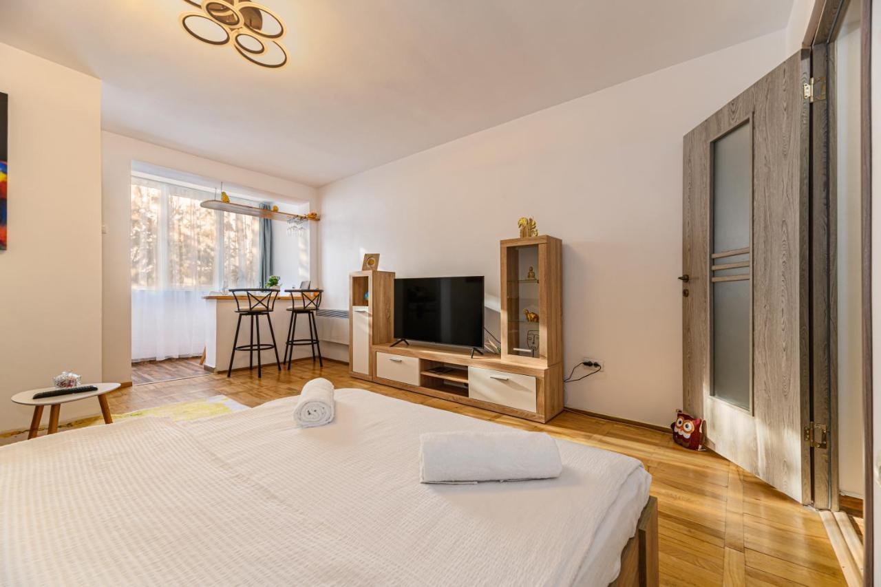 Jad - Family - Apartments & Studios Braşov Exteriör bild
