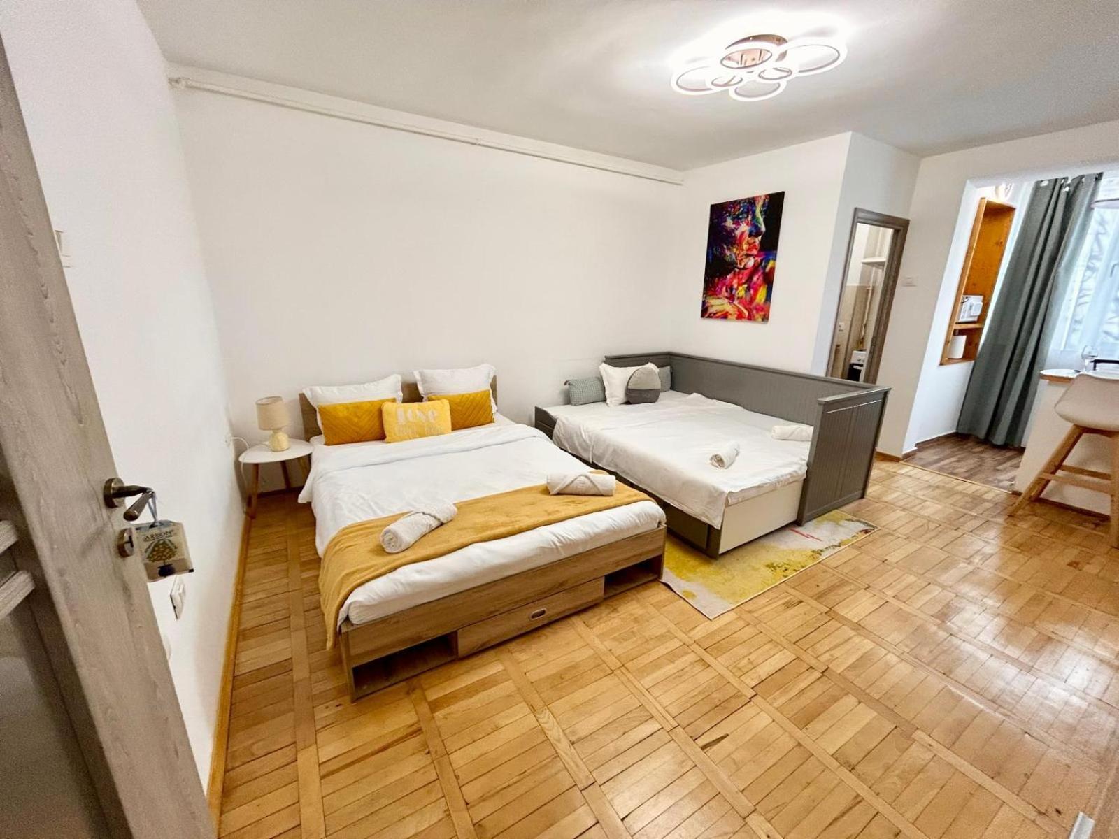 Jad - Family - Apartments & Studios Braşov Exteriör bild